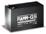 Аккумуляторная батарея Fiamm FG20721